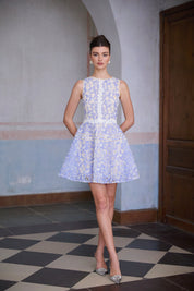 R&S Blue Embroidered Mini Dress