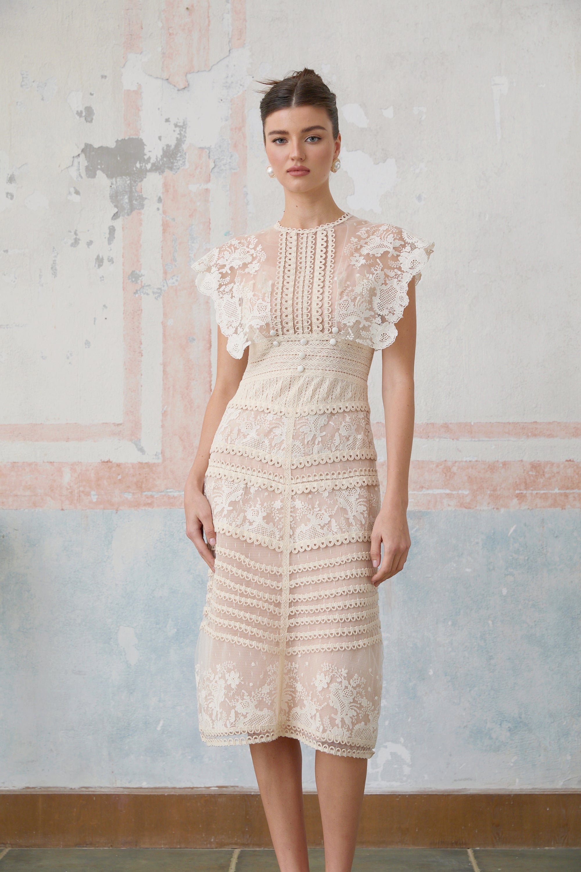 R&S Embroidered Midi Lace Dress