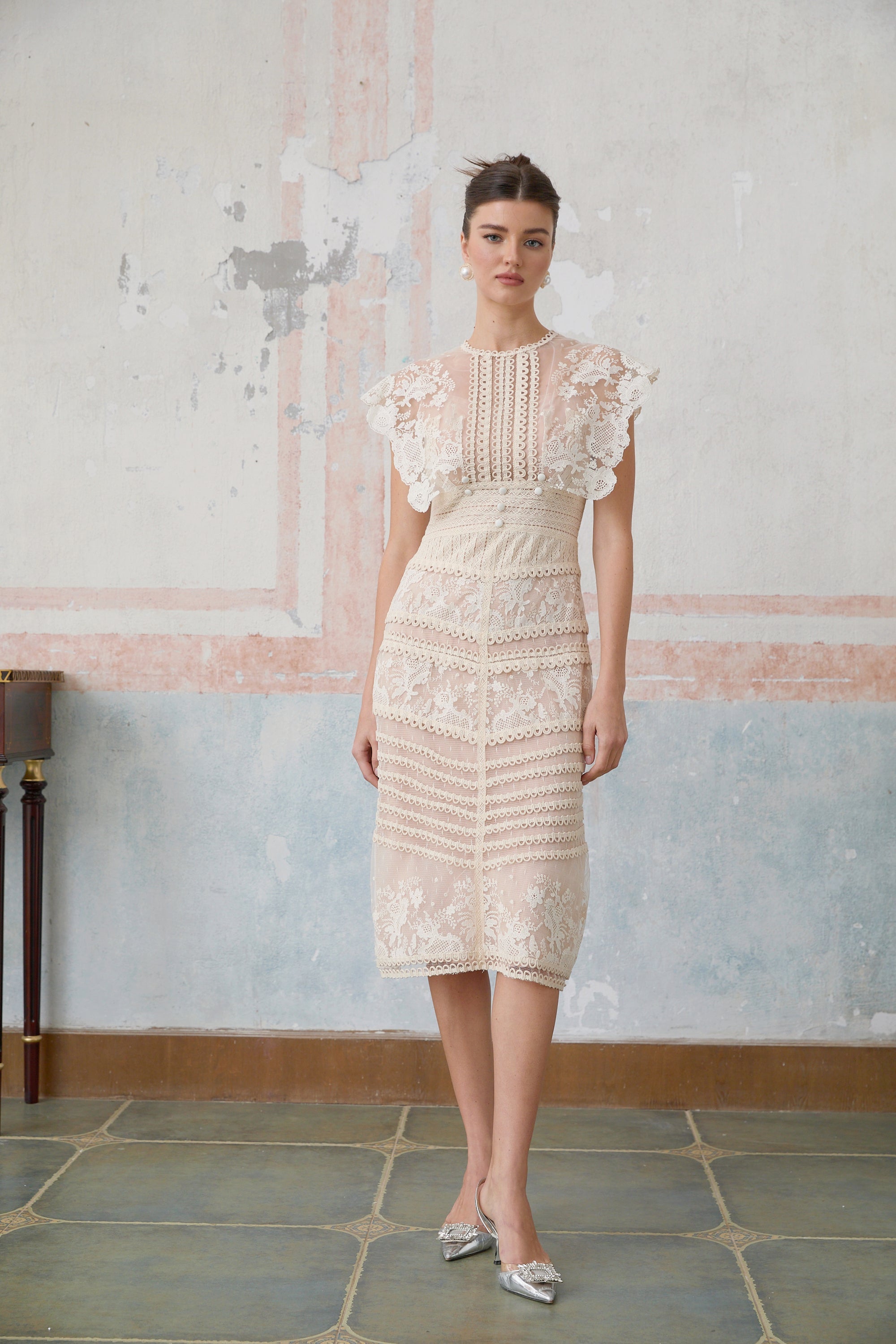 R&S Embroidered Midi Lace Dress