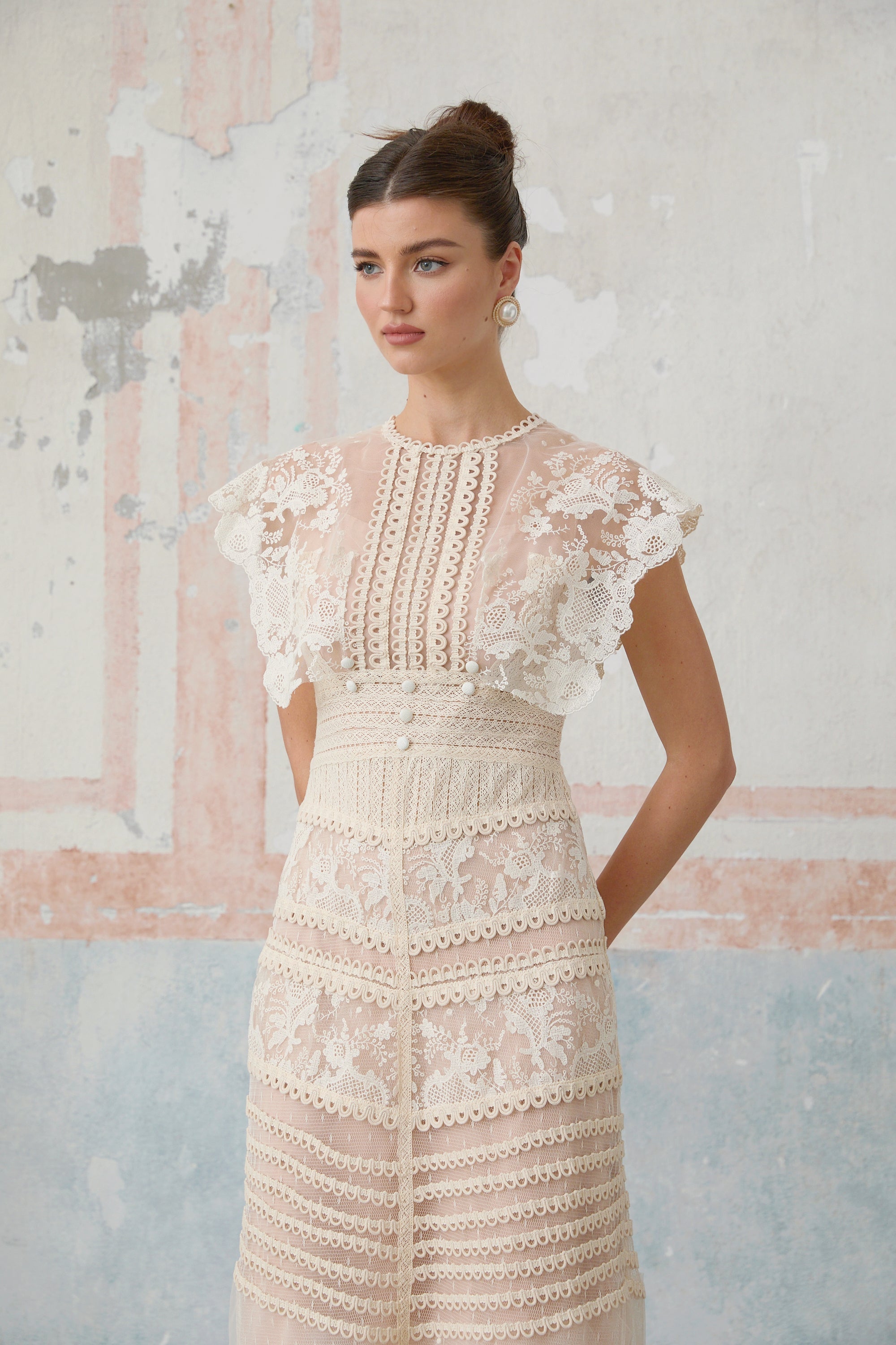 R&S Embroidered Midi Lace Dress